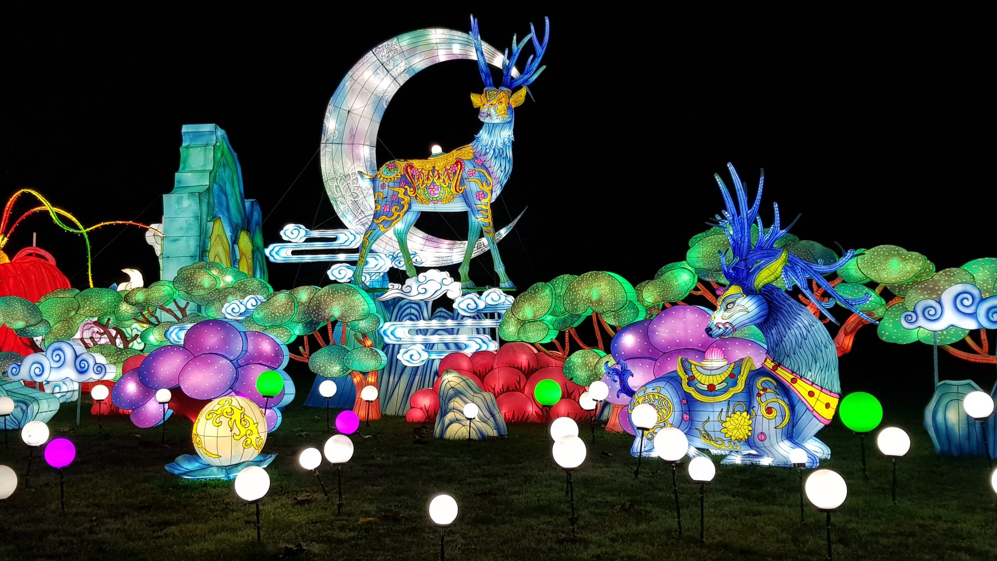 lanterne action 2021