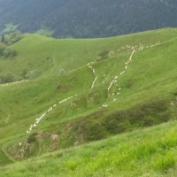 CRSS_12-juin-23_Col de Pierrefite