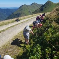 CRSS 09 Août Les myrtilles